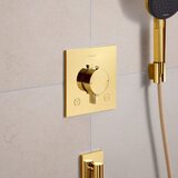 Hansgrohe 33711990 Ecostat Comfort E termostatska pokrivna plošča | Shoptok.si