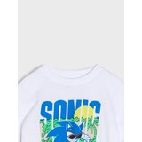 Sinsay Majica kratkih rukava Sonic the Hedgehog | shoptok.hr