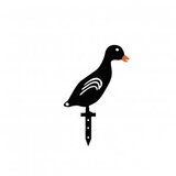 WALLXPERT Ducks | ePonuda.com
