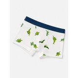 Sinsay Pamučne bokserice s motivom dinosaura 7 pack | shoptok.hr