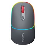 Canyon mouse MW-22 2in1 BT/ Wireless Dark Grey | Eponuda.ba