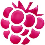 Essence WHAT A TINT! večnamensko ličilo za ustnice in lica odtenek 10 Raspberry Vibes 5 g | Shoptok.si