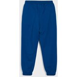 Sinsay Donji dio trenirke jogger Minecraft | shoptok.hr
