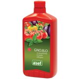 Asef Gnojilo za paradižnike in ostalo zelenjavo Asef (1 l) | Shoptok.si