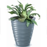 Prosperplast Freze DBFE400-443U tegla za cvijeće s umetkom 28 L – Ø 38,3 × 41,9 cm, svijetlo siva | shoptok.hr
