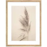 Plakat s okvirom 30x40 cm Grass