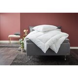 Olimp Sport Jorgan Venil 135x200 | ePonuda.com