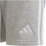 Adidas IS1005 sarena | shoptok.hr