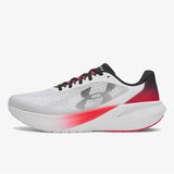 Under Armour Ua velociti pace Cene