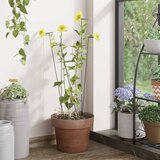 vidaXL Kolci za vrtne biljke 20 kom tamnozeleni 91 cm čelični | shoptok.hr