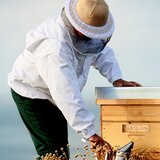 Guerlain Abeille Royale Honey Cataplasm Mask Sheet maska za zaglađivanje s hidratacijskim učinkom 4 kom | shoptok.hr