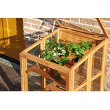 Esschert Design Rastlinjak – | Shoptok.si