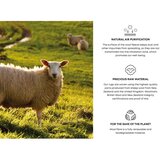 Agnella Sivi vuneni tepih 133x190 cm Tizo – | shoptok.hr