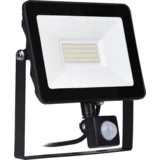 LED reflektor s senzorjem 50W IP65 5500K, (20828600)