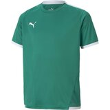 Puma Funkcionalna majica 'TeamLIGA' smaragd / bela Cene