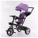 Hk Mini troty tricikl za decu, ljubičasti | ePonuda.com