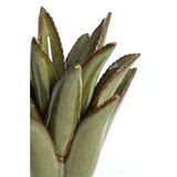 Light & Living Keramički svijećnjak Cactus – | shoptok.hr