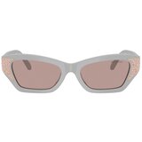 Swarovski Naočare za sunce SK 6029 10317N | ePonuda.com