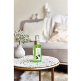 IPURO Essentials Lime Light sprej za dom 120 ml | shoptok.hr