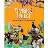 Mladinska Knjiga Timsko delo Cene