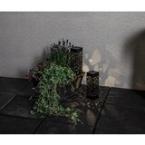 Star Trading Komplet 2 zunanjih solarnih svetilk LED Izola, višina 18 cm | Shoptok.si