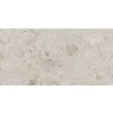 petra taupe mate 60x120cm