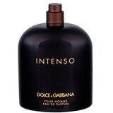 Dolce&gabbana Pour Homme Intenso parfumska voda 125 ml Tester za moške Cene