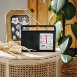 Adler am/fm radio AD1909 | Eponuda.com