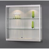  Stenska vitrina, LED-osvetlitev, ŠxGxV 1000 x 300 x 1000 mm, 2 x 7 W, glava svetilke s Ø 50 mm | Shoptok.si