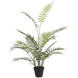  Umjetna biljka Adiantum (Visina: 91 cm, Plastika) Cijene