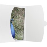 DAIBER 1x50 cover 15x20 white Cijene