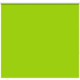 vidaXL roleta blackout listi zeleni 150x150 cm širina tkanine 146,6 cm Cene