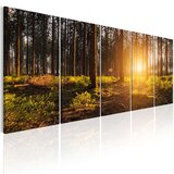  Slika - Summer Morning 200x80 Cijene
