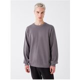 LC Waikiki Oversized Crew Neck Long Sleeve Men's Sweatshirt. cene