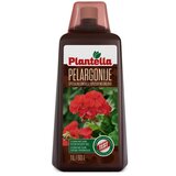 Plantella Tekoče specialno gnojilo za pelargonije (1 l) | Shoptok.si