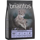 briantos Adult raca in krompir – BREZ ŽIT - 4 kg (4 x 1 kg) Cene