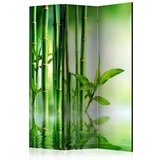  Paravan u 3 dijela - Bamboo Grove [Room Dividers] 135x172 Cijene