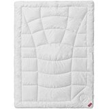 Hefel Textil CELOLETNA ODEJA Edition 101 140/200 cm Cene
