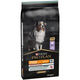 Purina PRO PLAN Medium & Large Adult Sensitive Digestion brez žit - Varčno pakiranje: 2 x 12 kg | shoptok.hr