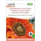 Sativa Bio enoletni cvet sončnica 'Velvet Queen' Cene