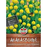 SPERLI Ananasov cvet "Sperli's Sweet Scent" Cene