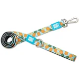 Max&Molly Vodilica Sweet Pineapple, M - 2,0 cm x 120 cm