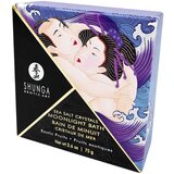 Shunga Exotic Fruits - kristal za kupku s mineralima mrtvog mora (75g) | shoptok.hr