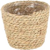  Košara za rastline - Ø 12 cm | Shoptok.si