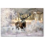  Slika - Deer in the Cold 120x80 Akustična | shoptok.hr
