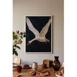 Wallxpert uramljena slika 115246, beli labud u letu na tamnoj pozadini, 50 x 70 cm, beli ram | Eponuda.com