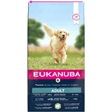 Eukanuba 10% popusta! 12 kg - Adult Large Breed janjetina i riža