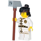 Publik Praktikum Grupa autora - Lego Ninjago movie - Garmagedon u Nindžago Sitiju | Eponuda.com