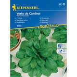 KIEPENKERL Sjeme povrća matovilac Verte de Cambrai (Valerianella locusta, Berba: Listopad) Cijene