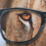 Spirella Tuš zavjesa 180x200 cm Smartlion – | shoptok.hr